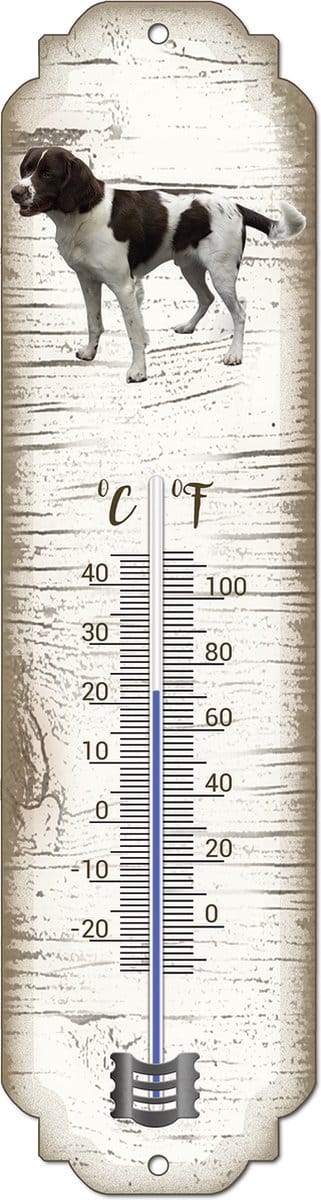 Thermometer: Drentsche Patrijshond | Hondenras | Temperatuur binnen en buiten | -25 tot +45C
