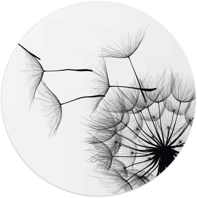 Plexiglasschilderij Paardenbloem - Ø 50 - Acrylglas - REINDERS