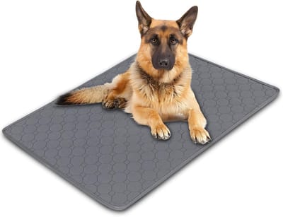 70 x 100 cm - herbruikbaar puppy pad - incontinentie pad - wasbaar - snel absorberend Paw Pad voor honden - katten - cavia's