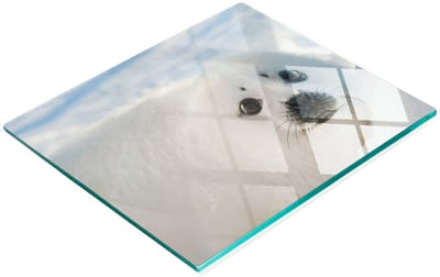Decoratieve glazen snij- en serveerplank voor in de keuken, Foka, 60x52 cm
