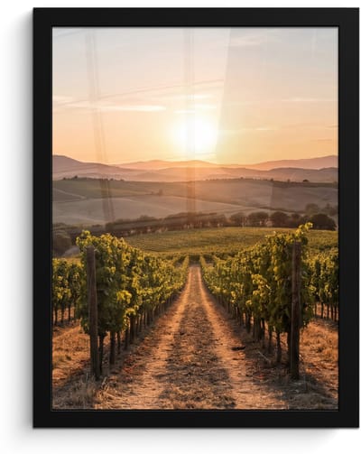 Poster in lijst - Fotolijst 30x40 cm - Posters - Wijngaard - Zonsondergang - Landschap - Posterlijst zwart - Decoratie - Wanddecoratie woonkamer - Muurdecoratie slaapkamer