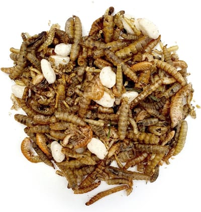 Insectenmix - Kippensnack 1 Liter