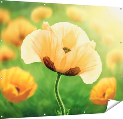 Gards Tuinposter Oranje Klaproos Bloemen - 150x120 cm - Tuindoek - Tuindecoratie - Wanddecoratie buiten - Tuinschilderij