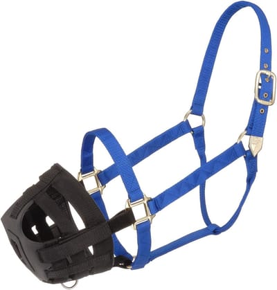 Paarden Muilkorf - Grazing Muzzle - Eetcontrole Paard - Ademend Nylon Ontwerp - Reg Horse Maat - Zwart