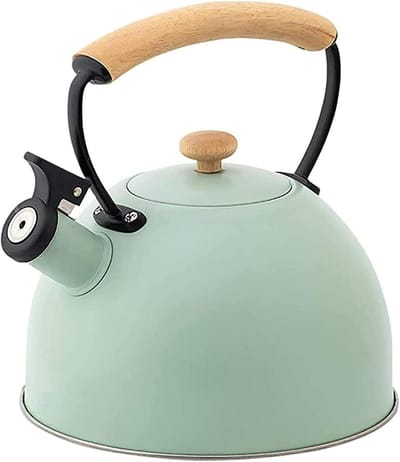 Waterkoker 3L - Theepot Kookketel - Water Koken - Geïsoleerd Handvat - 3L - Groen