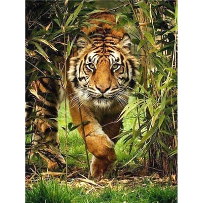 Peinture de diamant de tigre, mosaïque d'animaux, broderie complète de diamants ronds, point de croix 20X30CM beige