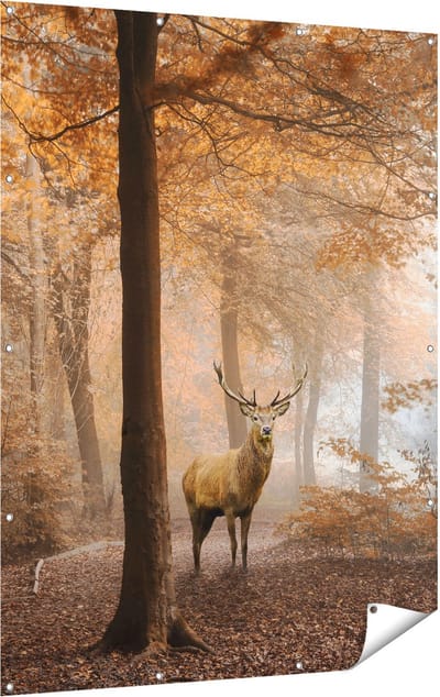 Gards Tuinposter Hert in het Bos - Herfst - 120x160 cm - Tuindoek - Tuindecoratie - Wanddecoratie buiten - Tuinschilderij