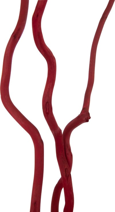 J-Line decoratie tak Droogbloemen - riet - rood - large - set van 3