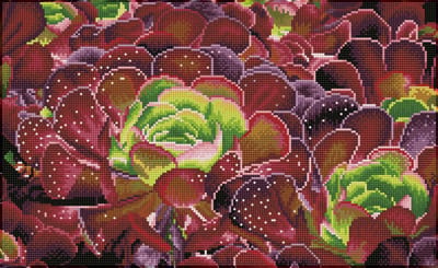 Full Diamond Painting Volwassenen - Hobby - Volledig Pakket - Vierkante Steentjes - DQ9.008 Diamond Dotz® - Vetplant paars groen 32 x 52cm