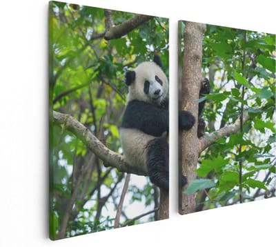 Artaza Canvas Schilderij Tweeluik Panda in de Bomen - 80x60 - Foto Op Canvas - Canvas Print