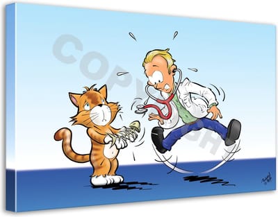Dierenarts Cartoon op canvas - Roland Hols - Arm visje - 40 x 60 cm - Houten frame 4 cm dik