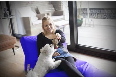Sit On It Zitzakbed - Loungebed - Buitenbed - Koningsblauw - Weerbestendig - Lichtgewicht - Comfortabel