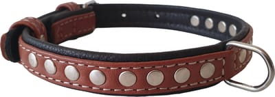 WAUDOG Soft Deco Halsband / Hondenhalsband - Leder - Bruin - XS - Breedte: 15 mm - Nekomtrek: 27 - 36 cm (GELIEVE ALVORENS BESTELLEN OPMETEN)