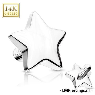 Dermal top ster 14kt wit goud 1.6mm - LMPiercings