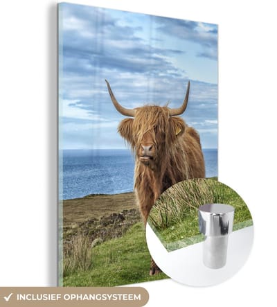 MuchoWow® Glasschilderij 120x160 cm - Schilderij acrylglas - Schotse Hooglander - Water - Horens - Foto op glas - Schilderijen