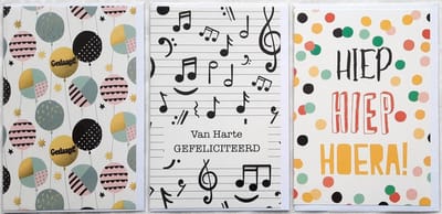 3 Wenskaarten - Geslaagd + Van Harte Gefeliciteerd + Hiep Hiep Hoera - 12 x 17 cm – GES-301