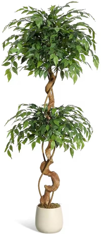 Grote Kunstplant Ficus Benjamina - 150cm - Gevlochten Natuurlijke Stam - Kunstboom met Silk Bladeren - Inclusief Sierpot - Realistisch & Onderhoudsvrij