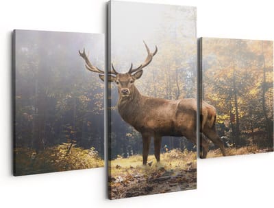 Artaza Canvas Schilderij Drieluik Hert Staand in een Herfstbos - 150x120 - Groot - Foto Op Canvas - Canvas Print