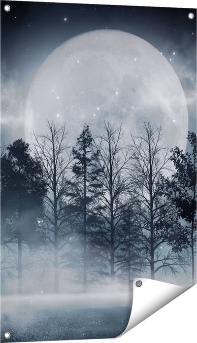 Gards Tuinposter Maan tussen de Bomen in de Nacht - 60x90 cm - Tuindoek - Tuindecoratie - Wanddecoratie buiten - Tuinschilderij