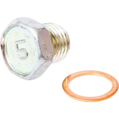 Briggs & stratton plug