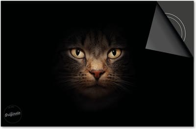 Inductie beschermer 60x60 - afdekplaat inductie mat - Dietrix Kookplaat beschermer - Exclusief - Dieren - Kat op zwart