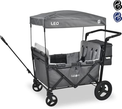 FableKids LEO X4Plus Opvouwbare wagen met dak Fossil Grey