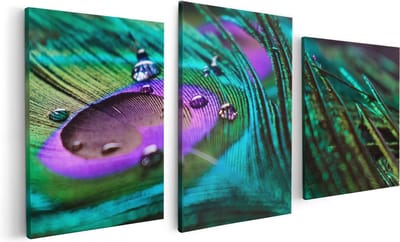 Artaza Canvas Schilderij Drieluik Kleurrijke Pauw Veer Met Waterdruppels  - 120x60 - Foto Op Canvas - Canvas Print