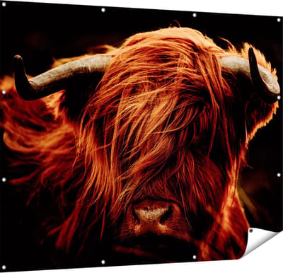 Gards Tuinposter Schotse Hooglander Koeienkop - Kleur - 150x120 cm - Tuindoek - Tuindecoratie - Wanddecoratie buiten - Tuinschilderij