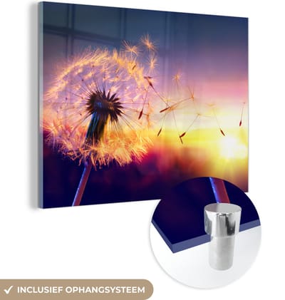 Glasschilderij - Schilderij bloemen - Paardenbloem - Bloemen - Zonsondergang - Natuur - Acrylglas - Wanddecoratie natuur - Foto op glas - Glazen schilderij - 160x120 cm - Schilderijen woonkamer