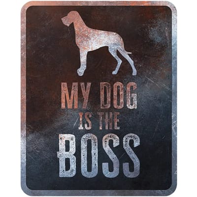 Waarschuwingsbord Deense hond D&D Home