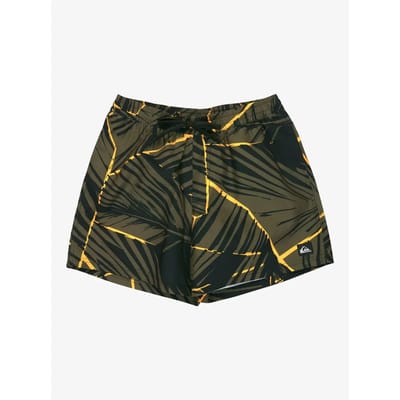 Quiksilver Everyday Printed Volley 15´´ Zwembroek Groen XL Man