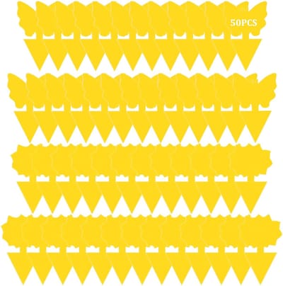 OUYLAF 50 stuks Rouwvliegjes - Fruitvliegjes Vanger - Vliegenvanger - aaltjes - Vangplaten - Plakstrips - Rouwvliegjes bestrijden - aaltjes tegen rouwvliegjes