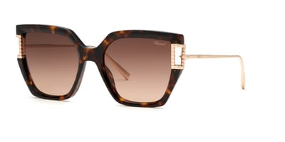 Chopard SCH378M Avana scura 55/19/135 WOMAN Zonnebrillen