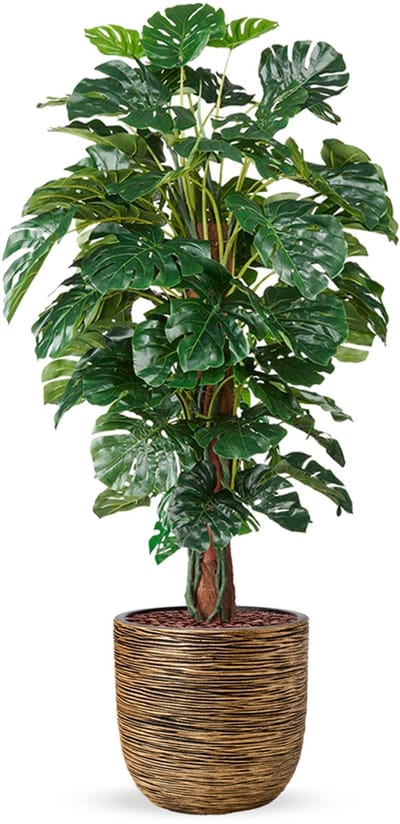 Kunstplant Monstera in planter ball Rib goud H170 cm