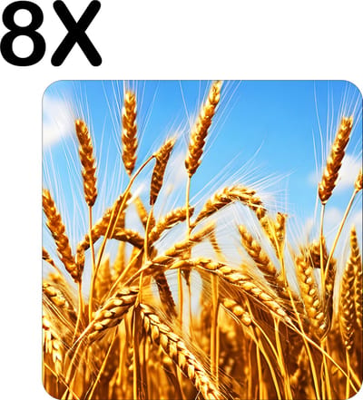 Luxe Placemat - Goudkleurig Tarwe Veld met Blauwe Lucht - Set van 8 Placemats - 50x50 cm - 2 mm dik Vinyl - Anti Slip - Afneembaar