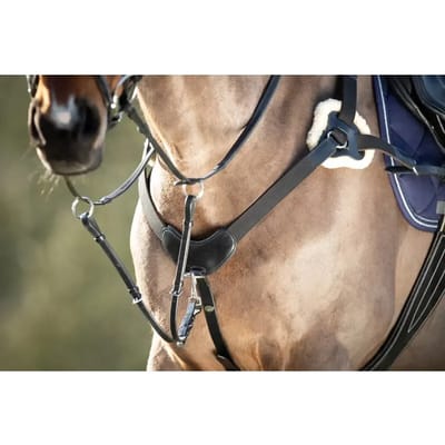 Jachthalsband voor paarden HFI 5 Points