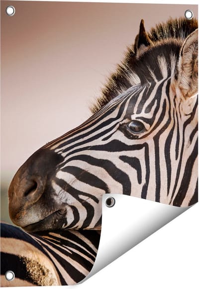 Gards Tuinposter Twee Knuffelende Zebra's - 40x50 cm - Tuindoek - Tuindecoratie - Wanddecoratie buiten - Tuinschilderij