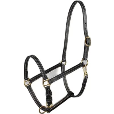 Halster voor paarden Horze Fremont
