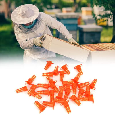 30 pcs Plastique Cage à Reine d'Abeille Couvercle Protecteur Cupule d'Élevage de Reine Matériel et Outils d'Apiculture gray