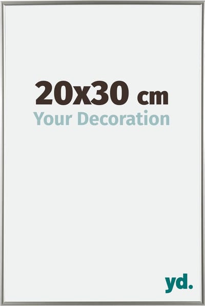 Your Decoration - Fotolijst 20x30 cm - Kunststof - Champagne - Evry