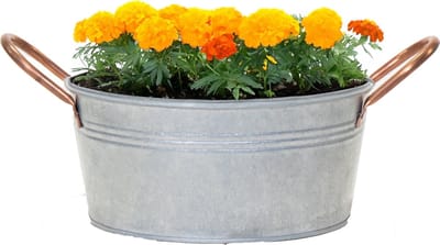 Mega Collections Teil/plantenpot/bloempot Jean - zink - zilver - D24 X H11 cm