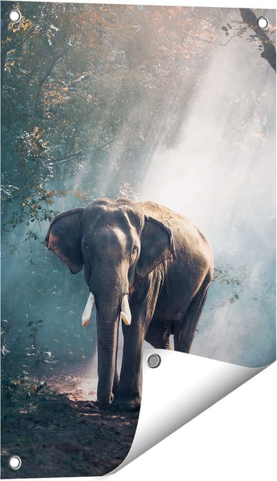 Gards Tuinposter Olifant in het Bos met Zonneschijn - 40x60 cm - Tuindoek - Tuindecoratie - Wanddecoratie buiten - Tuinschilderij