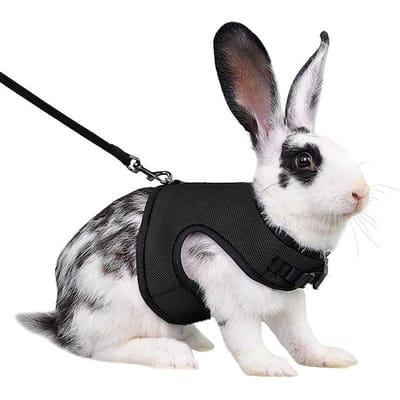 Harnais Respirant en Maille pour Furet Lapin Ensemble Laisse Idéal pour Petits Animaux Lapins Hamsters Marche d'Été Laisse pour Animaux de Compagnie Accessoires Haute Qualité S-suit 0.2-0.5kg noir