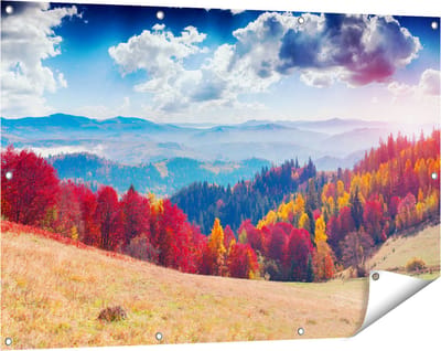 Gards Tuinposter Kleurrijke Herfstbos met Heuvellandschap - 120x80 cm - Tuindoek - Tuindecoratie - Wanddecoratie buiten - Tuinschilderij