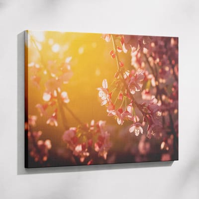 Saammp Muurcirkel Hout - Vrouw met goud op het gezicht - abstract - Ø 80 - Wandcirkel - Wanddecoratie Cirkel - Muurdecoratie Woonkamer - Slaapkamer decoratie - Rond Schilderij