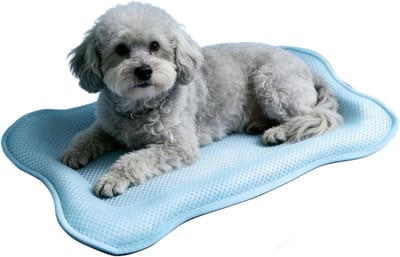 VHV - Koelmat Hond en Kat - Wasbare Huisdier Koelmat 30x40 cm - Blauwe Dierenmat - Voor Mand en Bank
