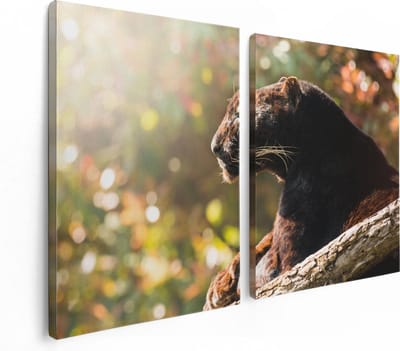 Artaza Canvas Schilderij Tweeluik Zwarte Panter Vanaf De Zijkant - 120x80 - Foto Op Canvas - Canvas Print