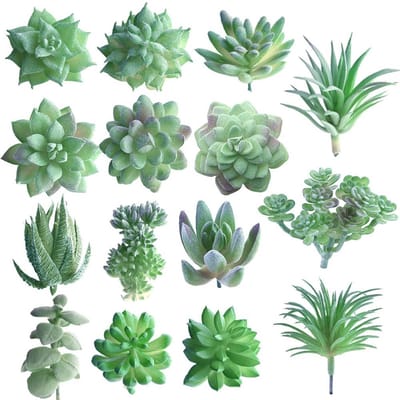Dailygoody - Kunstmatige Vetplanten - Nepbloemen - Perfect voor Woondecoratie - Groen - Echeveria - Levensecht en Onderhoudsvrij - Binnengebruik