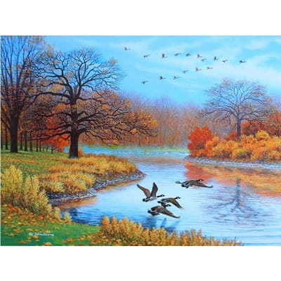 Artisanat de broderie canard sauvage, Kits d'artisanat de broderie de diamant 5d, peinture de diamant, Arts muraux 20X30CM blue
