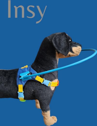 Halsband voor dieren, Blinde honden hulp, hondbrace, revalidatie hulp, hond, hond harnesses, harnas, halsband, honden harnas, honden halsband, hond ondersteuning maat xs, hond brace, dogs braces, Hondentuigje, hond beugels, hond steun, hond spalk.